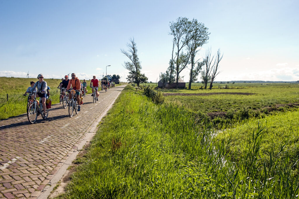 Radgruppe entlang der niederländischen Küste mit Meerblick
