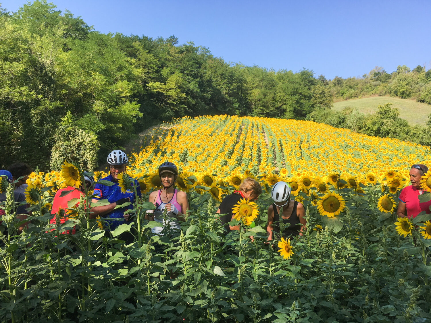Dal Gran Sasso al mare Chiara Manucci